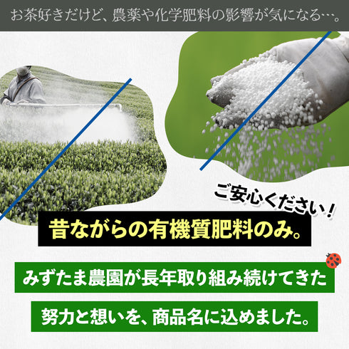 農薬も化学肥料も使わないで育てたお茶 和紅茶ティーバッグ 2.5g×50p